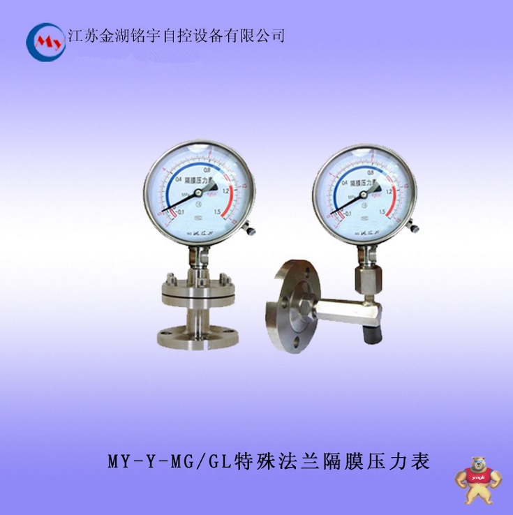 MY-Y-MG/GL 特殊法兰隔膜压力表厂家直销 隔膜压力表,法兰连接,法兰隔膜压力表