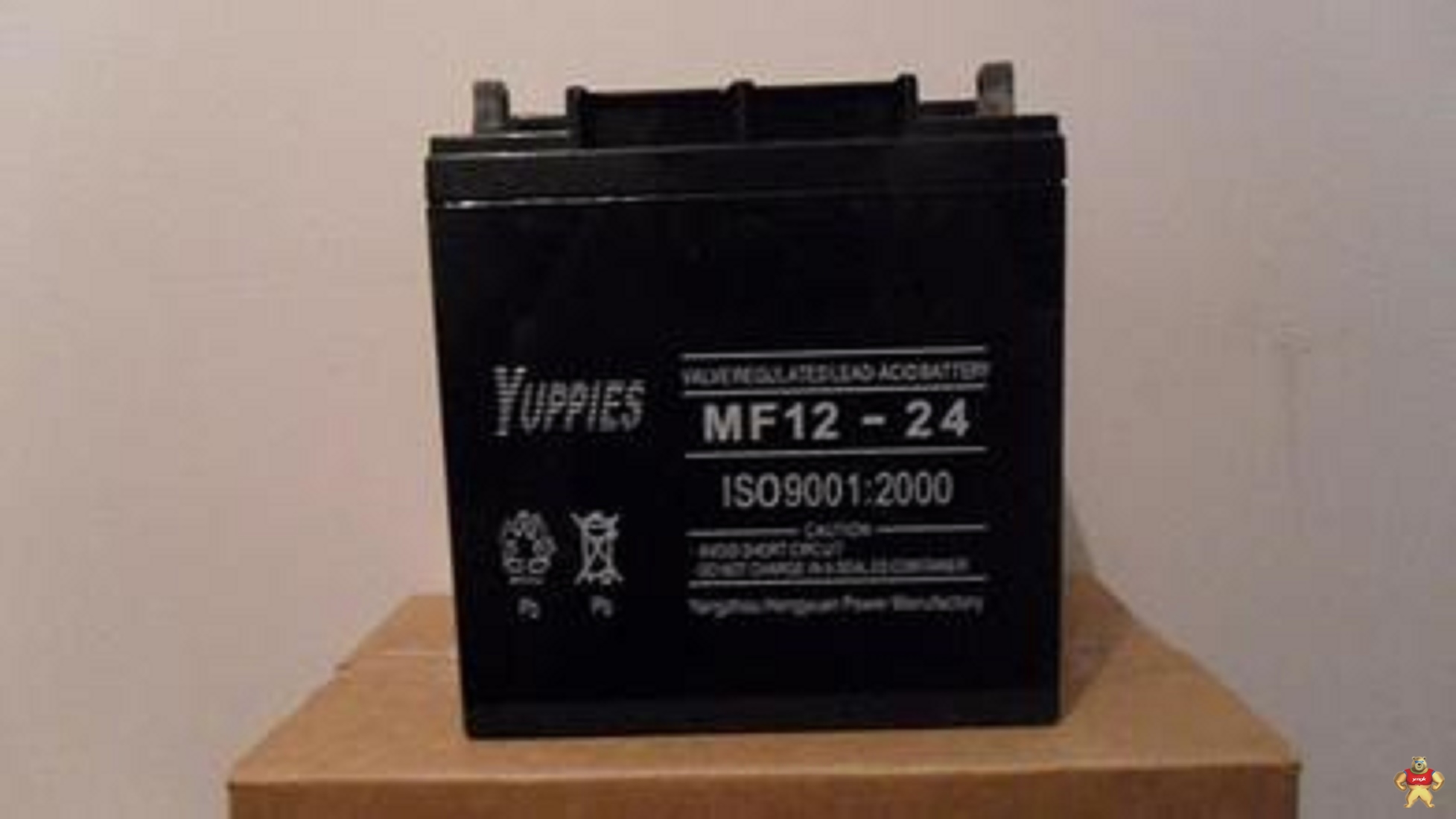 优佩斯MF12-65蓄电池_ 铅酸蓄电池MF12-65_ YUPPLES MF12-65免维护ups电池 MF12-65,优佩斯,MF12-65,YUPPLES,ups蓄电池